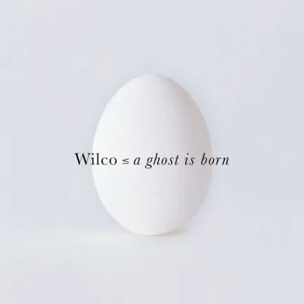 Wilco - A Ghost Is Born (Vinyl 2LP)