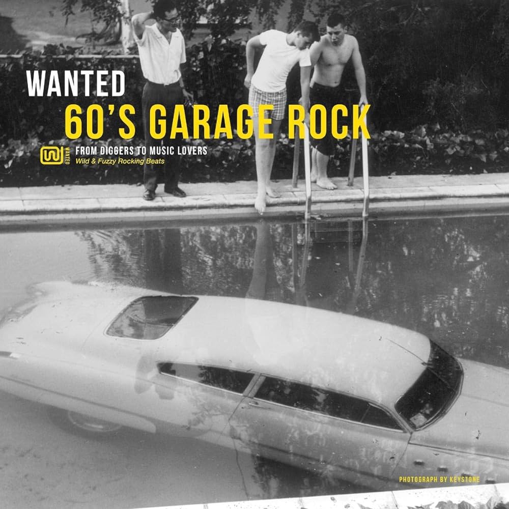 Various Artists - Wanted 60's Garage Rock (Vinyl LP)