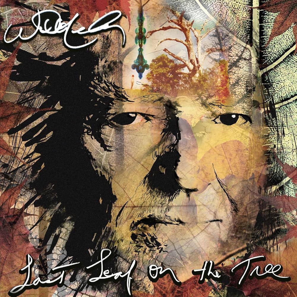 Willie Nelson - Last Leaf On the Tree (Vinyl 2LP)