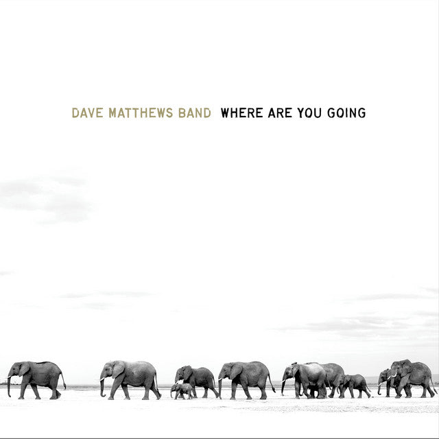 Dave Matthews - Where Are You Going: the Singles (Vinyl 2LP)