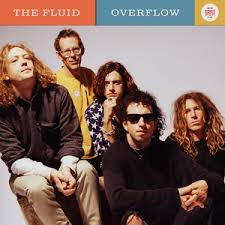 Fluid - Overflow (Vinyl LP)