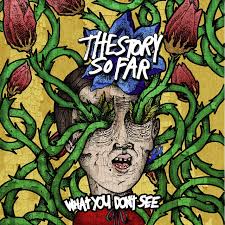 The Story So Far - What You Don't See (Vinyl LP)