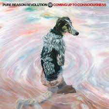 Pure Reason Revolution - Coming Up to Consciousness (Vinyl LP)