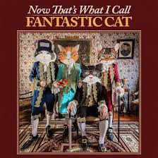 Fantastic Cat - Now That's What I Call Fantastic Cat (Vinyl LP)