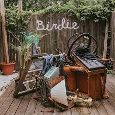 Slaughter Beach, Dog - Birdie (Vinyl LP)