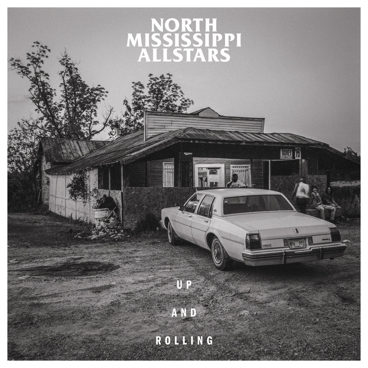 North Mississippi Allstars - Up and Rolling (Vinyl LP)