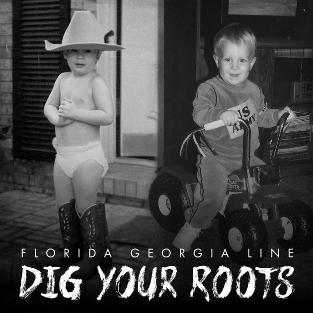 Florida Georgia Line - Dig Your Roots (Vinyl 2 LP Record)