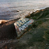 FIDLAR - Almost Free (Vinyl Colour LP)